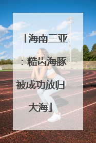 海南三亚：糙齿海豚被成功放归大海