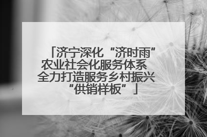 济宁深化“济时雨”农业社会化服务体系 全力打造服务乡村振兴“供销样板”
