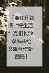浙江莲都携“慢生活”亮相长沙 双城共绘文旅合作新图景