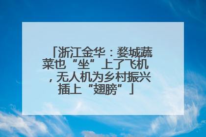 浙江金华：婺城蔬菜也“坐”上了飞机，无人机为乡村振兴插上“翅膀”