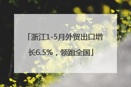 浙江1-5月外贸出口增长6.5%，领跑全国