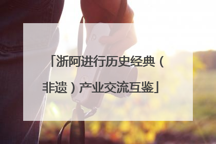 浙阿进行历史经典（非遗）产业交流互鉴