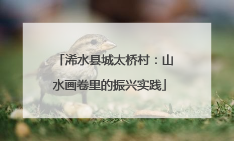 浠水县城太桥村：山水画卷里的振兴实践