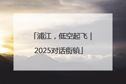 浦江，低空起飞｜2025对话街镇