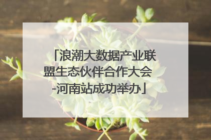 浪潮大数据产业联盟生态伙伴合作大会-河南站成功举办