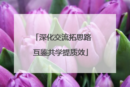 深化交流拓思路 互鉴共学提质效