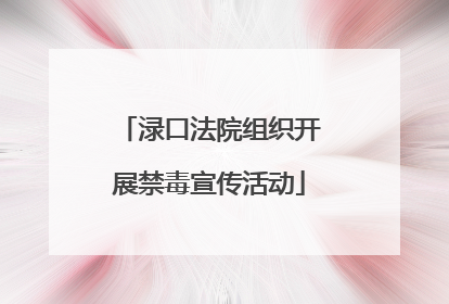 渌口法院组织开展禁毒宣传活动