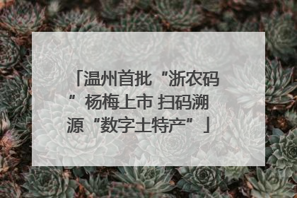 温州首批“浙农码”杨梅上市 扫码溯源“数字土特产”