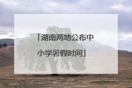 湖南两地公布中小学暑假时间