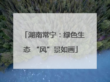 湖南常宁：绿色生态 “风”景如画