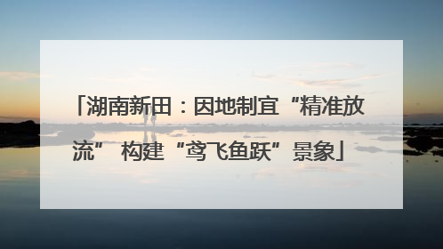 湖南新田：因地制宜“精准放流” 构建“鸢飞鱼跃”景象