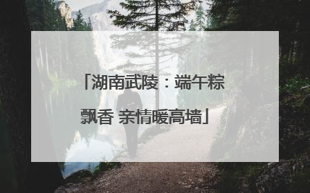 湖南武陵：端午粽飘香 亲情暖高墙