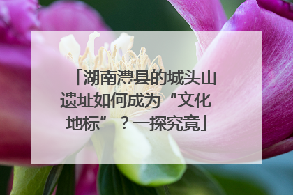 湖南澧县的城头山遗址如何成为“文化地标”？一探究竟