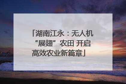 湖南江永：无人机“展翅”农田 开启高效农业新篇章