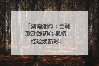 湖南湘潭：警调联动践初心 枫桥经验焕新彩