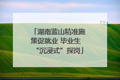 湖南蓝山精准施策促就业 毕业生“沉浸式”探岗