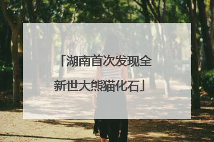 湖南首次发现全新世大熊猫化石