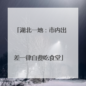 湖北一地：市内出差一律自费吃食堂