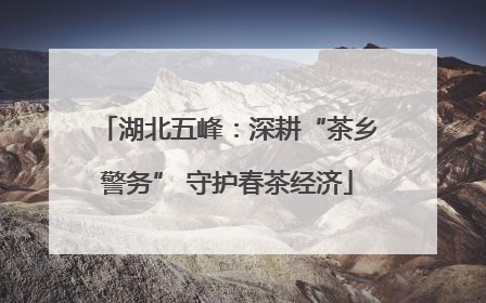 湖北五峰：深耕“茶乡警务” 守护春茶经济
