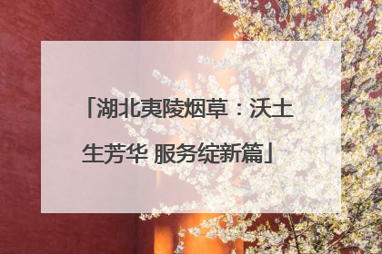 湖北夷陵烟草：沃土生芳华 服务绽新篇
