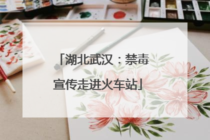 湖北武汉：禁毒宣传走进火车站