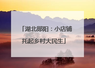 湖北郧阳：小店铺托起乡村大民生