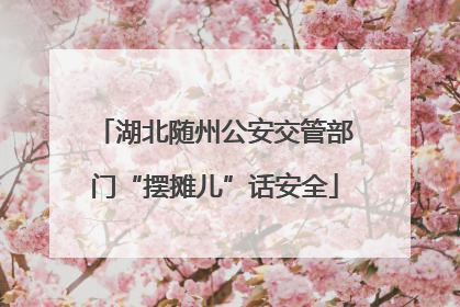 湖北随州公安交管部门“摆摊儿”话安全