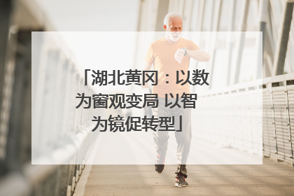 湖北黄冈：以数为窗观变局 以智为镜促转型