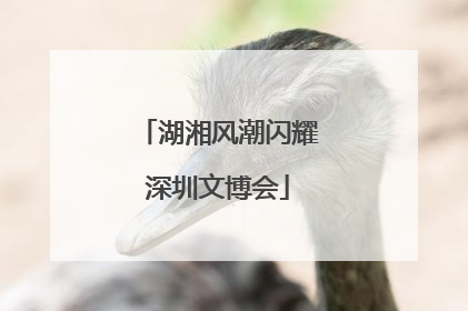 湖湘风潮闪耀深圳文博会