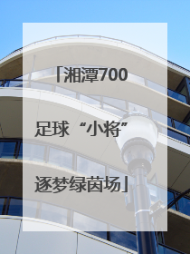 湘潭700足球“小将”逐梦绿茵场