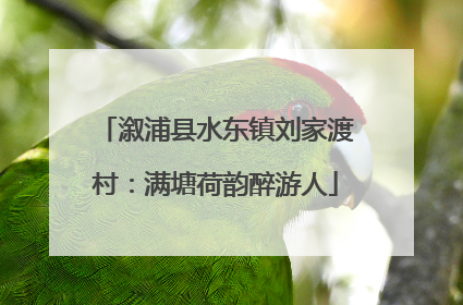 溆浦县水东镇刘家渡村：满塘荷韵醉游人