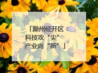 滁州经开区：科技攻“尖” 产业向“新”