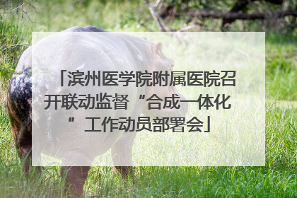 滨州医学院附属医院召开联动监督“合成一体化”工作动员部署会
