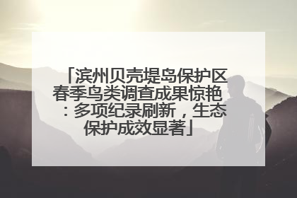 滨州贝壳堤岛保护区春季鸟类调查成果惊艳：多项纪录刷新，生态保护成效显著