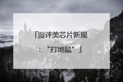漫评美芯片新规：“打地鼠”