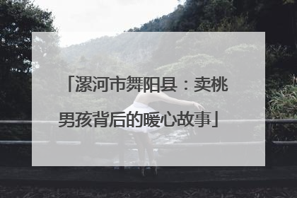 漯河市舞阳县：卖桃男孩背后的暖心故事