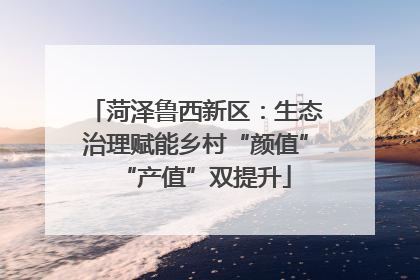 菏泽鲁西新区：生态治理赋能乡村“颜值”“产值”双提升