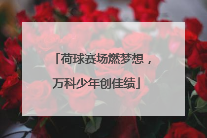 荷球赛场燃梦想，万科少年创佳绩