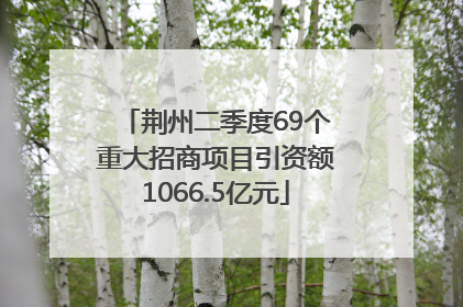 荆州二季度69个重大招商项目引资额1066.5亿元