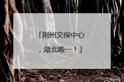 荆州文保中心，湖北唯一！