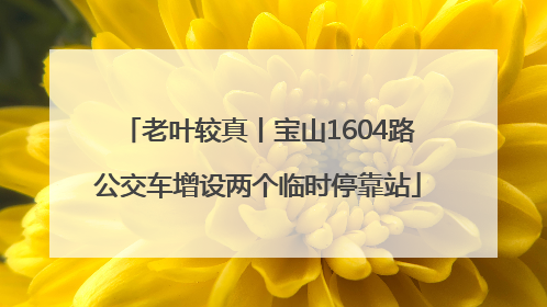 老叶较真丨宝山1604路公交车增设两个临时停靠站