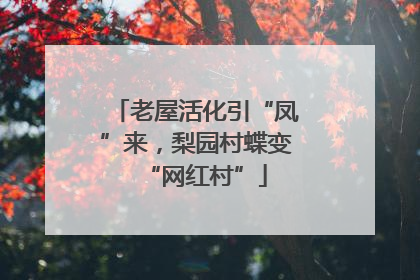 老屋活化引“凤”来，梨园村蝶变“网红村”