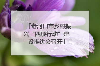 老河口市乡村振兴“四项行动”建设推进会召开