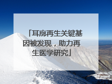 耳廓再生关键基因被发现，助力再生医学研究