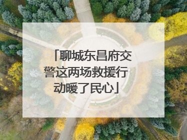 聊城东昌府交警这两场救援行动暖了民心