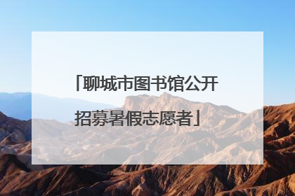 聊城市图书馆公开招募暑假志愿者