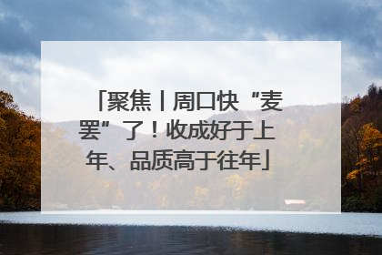 聚焦丨周口快“麦罢”了！收成好于上年、品质高于往年