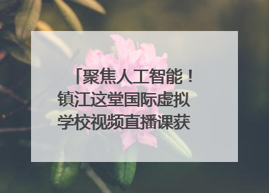 聚焦人工智能！镇江这堂国际虚拟学校视频直播课获韩美伙伴点赞
