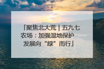 聚焦北大荒｜五九七农场：加强湿地保护 发展向“绿”而行