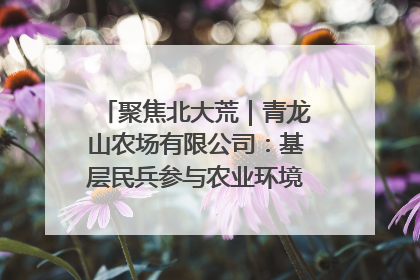 聚焦北大荒｜青龙山农场有限公司：基层民兵参与农业环境综合治理显效